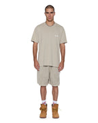 MENS ALLDAY BIGGIE SS TEE TERRA TEES